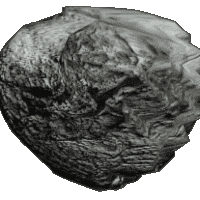 rock button